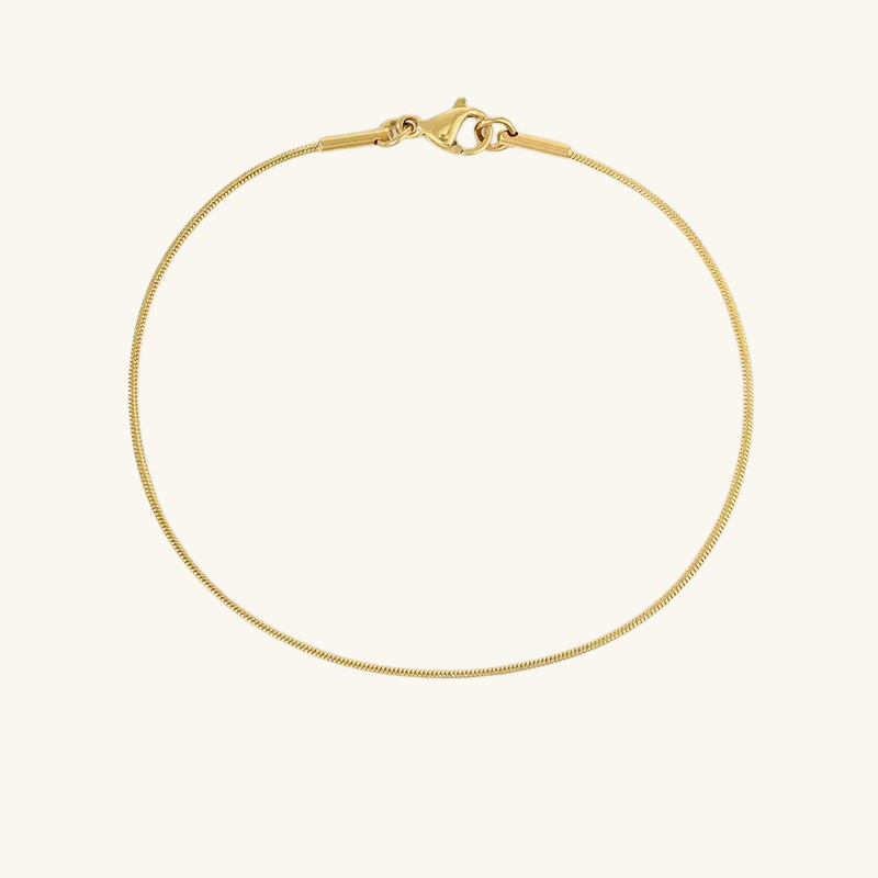 Snake Chain Bracelet - Wrenlee