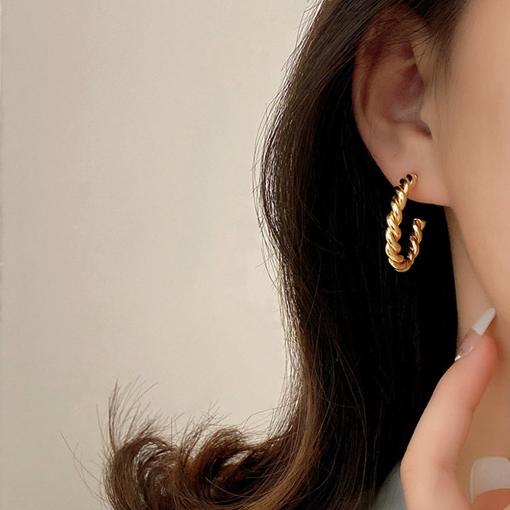 Spiral Twist Hoop Earrings - Wrenlee