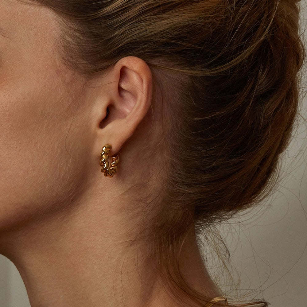Spiral Twist Hoop Earrings - Wrenlee