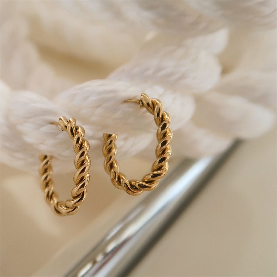 Spiral Twist Hoop Earrings - Wrenlee