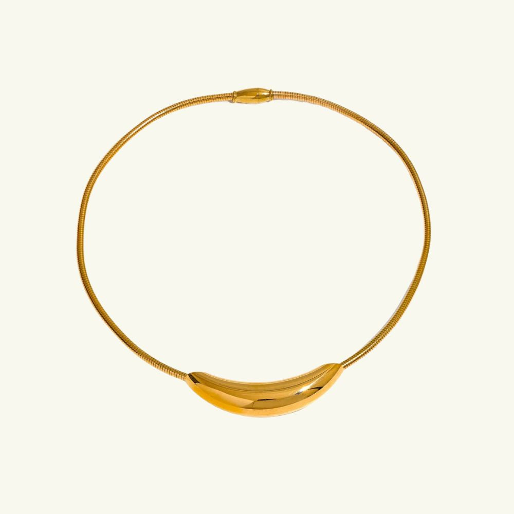 Elegant Choker Necklace