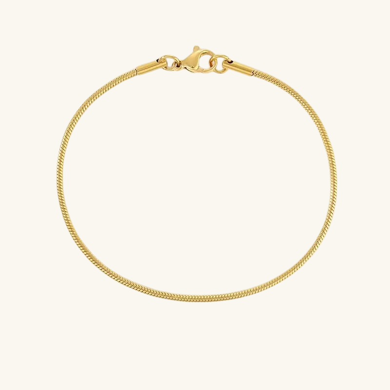 Snake Chain Bracelet - Wrenlee