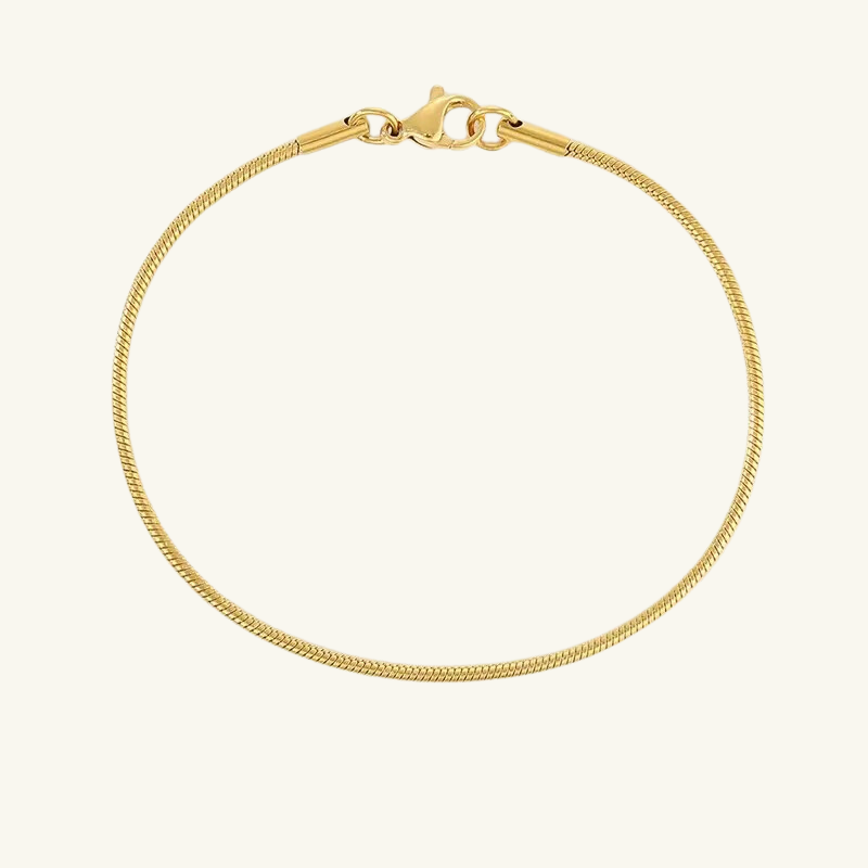 Snake Chain Bracelet - Wrenlee