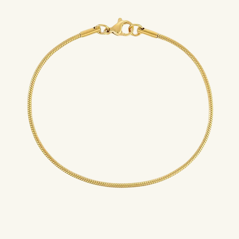 Snake Chain Bracelet - Wrenlee