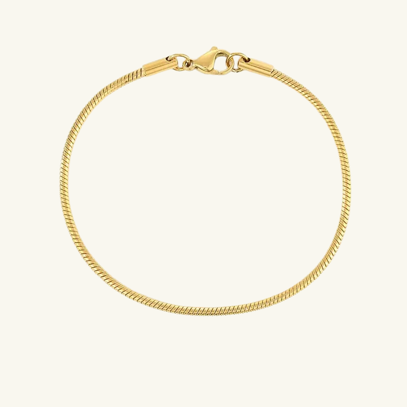 Snake Chain Bracelet - Wrenlee