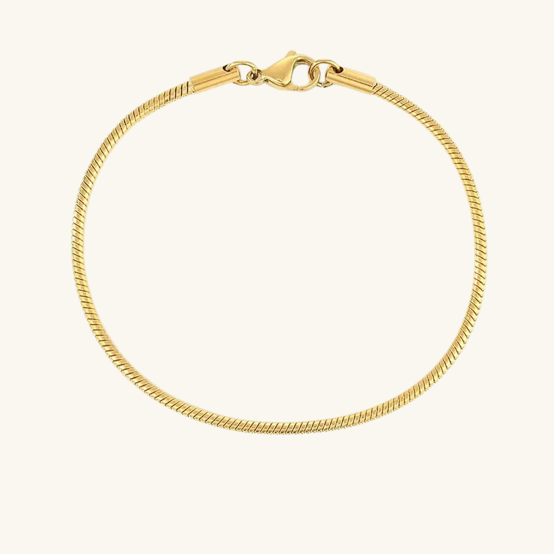 Snake Chain Bracelet - Wrenlee