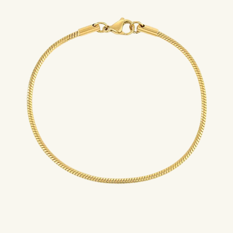 Snake Chain Bracelet - Wrenlee