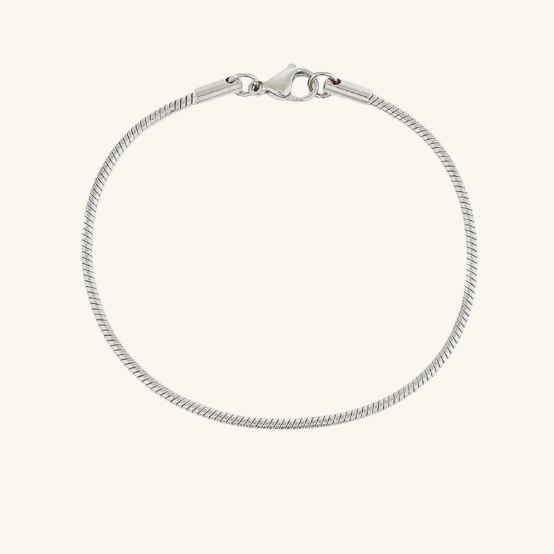 Snake Chain Bracelet - Wrenlee