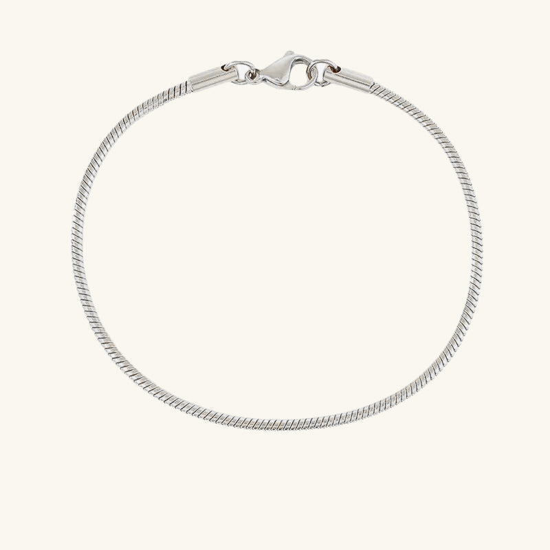 Snake Chain Bracelet - Wrenlee
