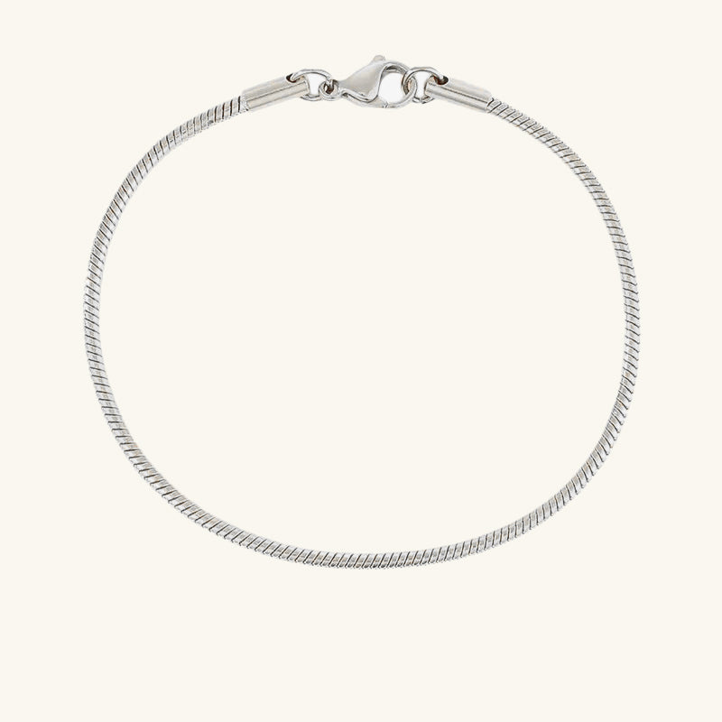 Snake Chain Bracelet - Wrenlee