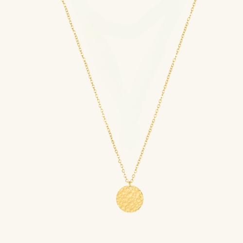 Disc Dainty Necklace - Wrenlee