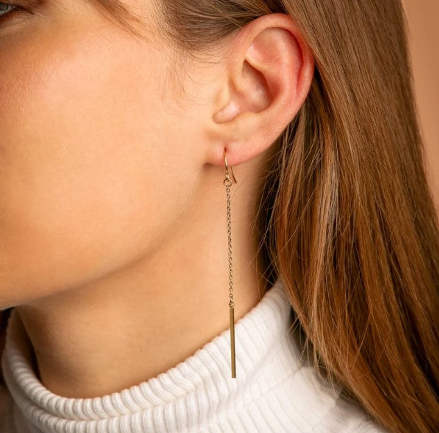 Aimee Long Steel Earrings