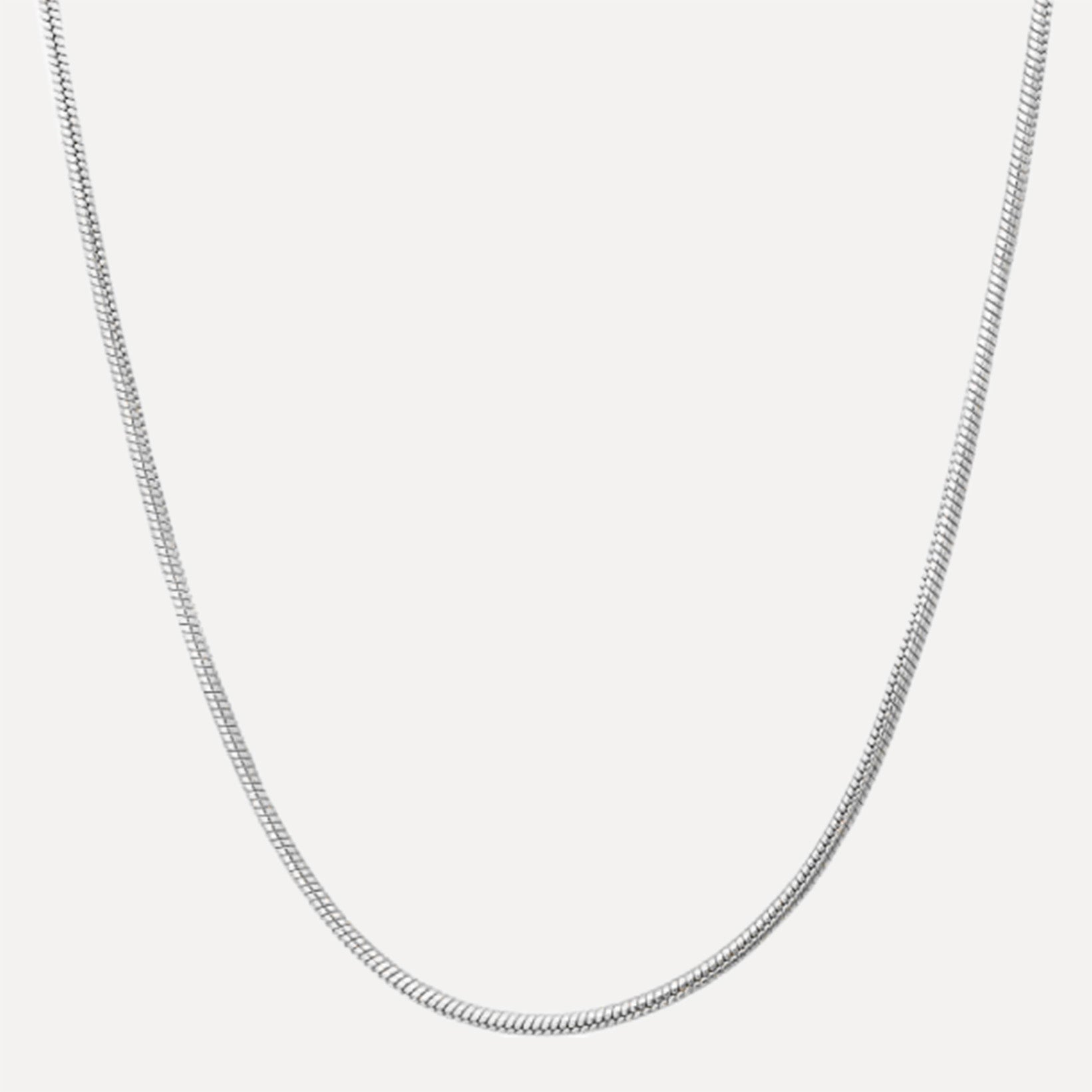 Snake Chain Necklace - Wrenlee